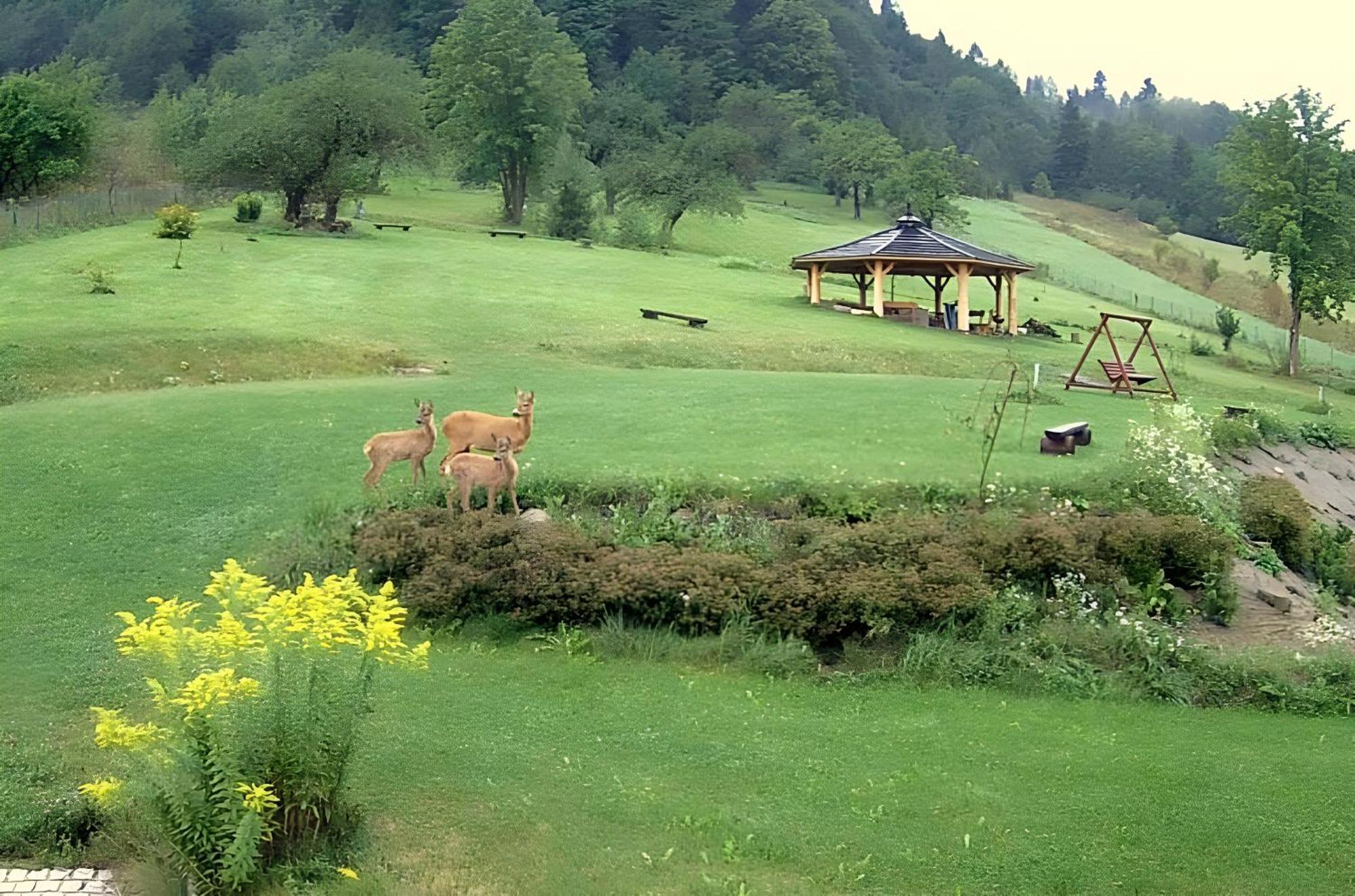 Bed and Breakfast Otulina Park Шавница Экстерьер фото
